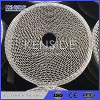 Manufacturer Stainless Steel Wire Mesh Belt for Wafer Coating