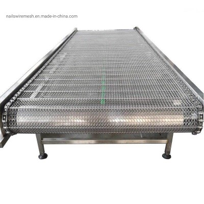 China Stainless steel ladder wire mesh conveyor belt